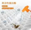 Free shipping! Japanese imported "Little Chicken" sports shoe cleaner 240ml, a perfect shoe cleaning tool for removing dirt, whitening and yellowing Application Scenario